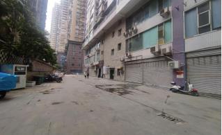 港都月光城