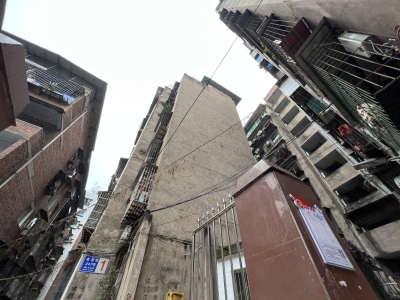 金丝街247号