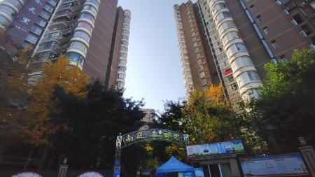 南庭春天里