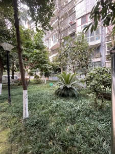 宏宇花园