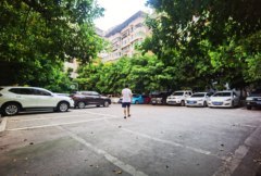 桂楠小区