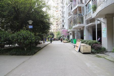 滨江风景