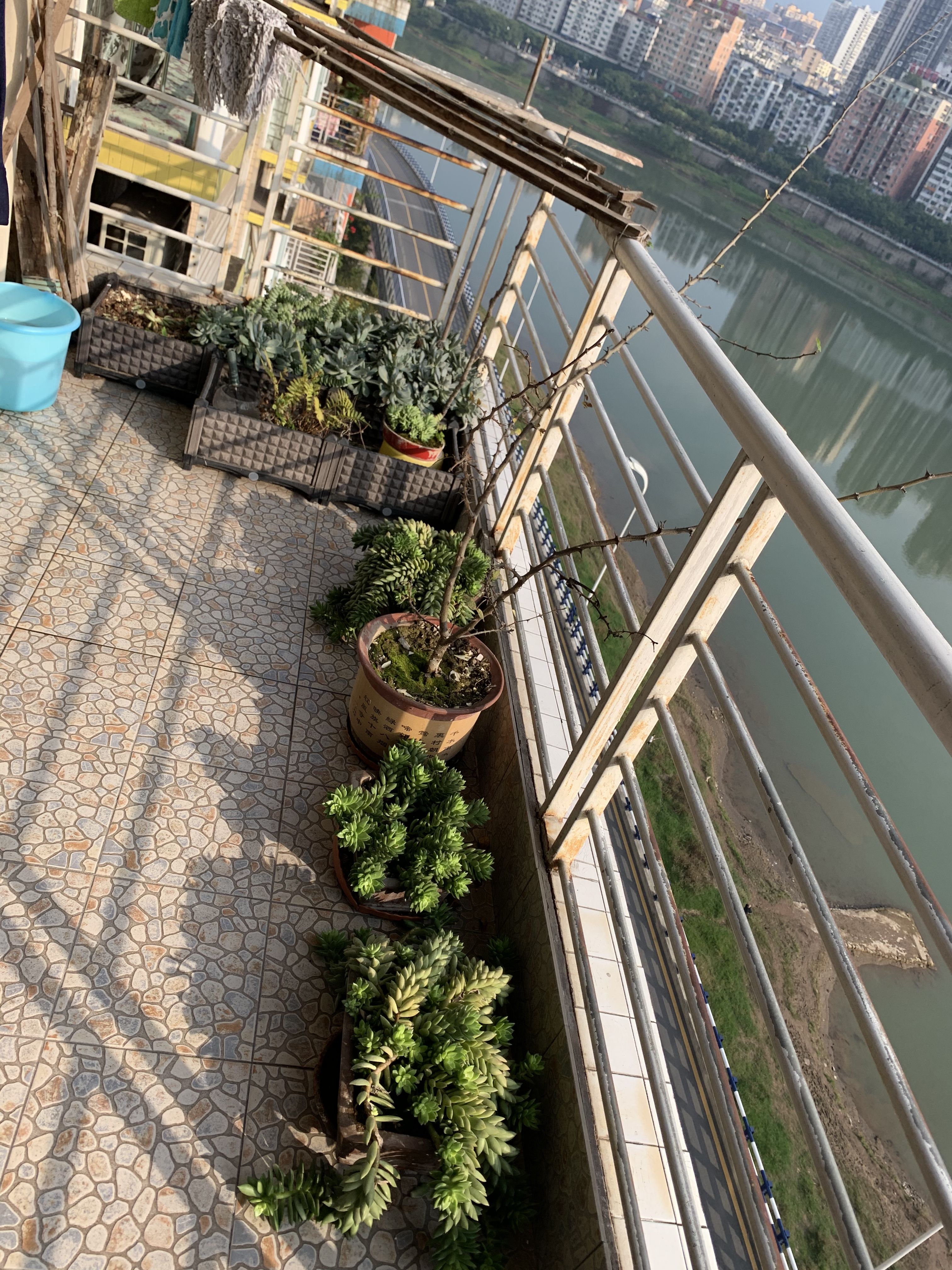 濱江麗都