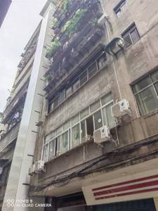 （）院棚巷49号综合楼 4房3厅2卫 南