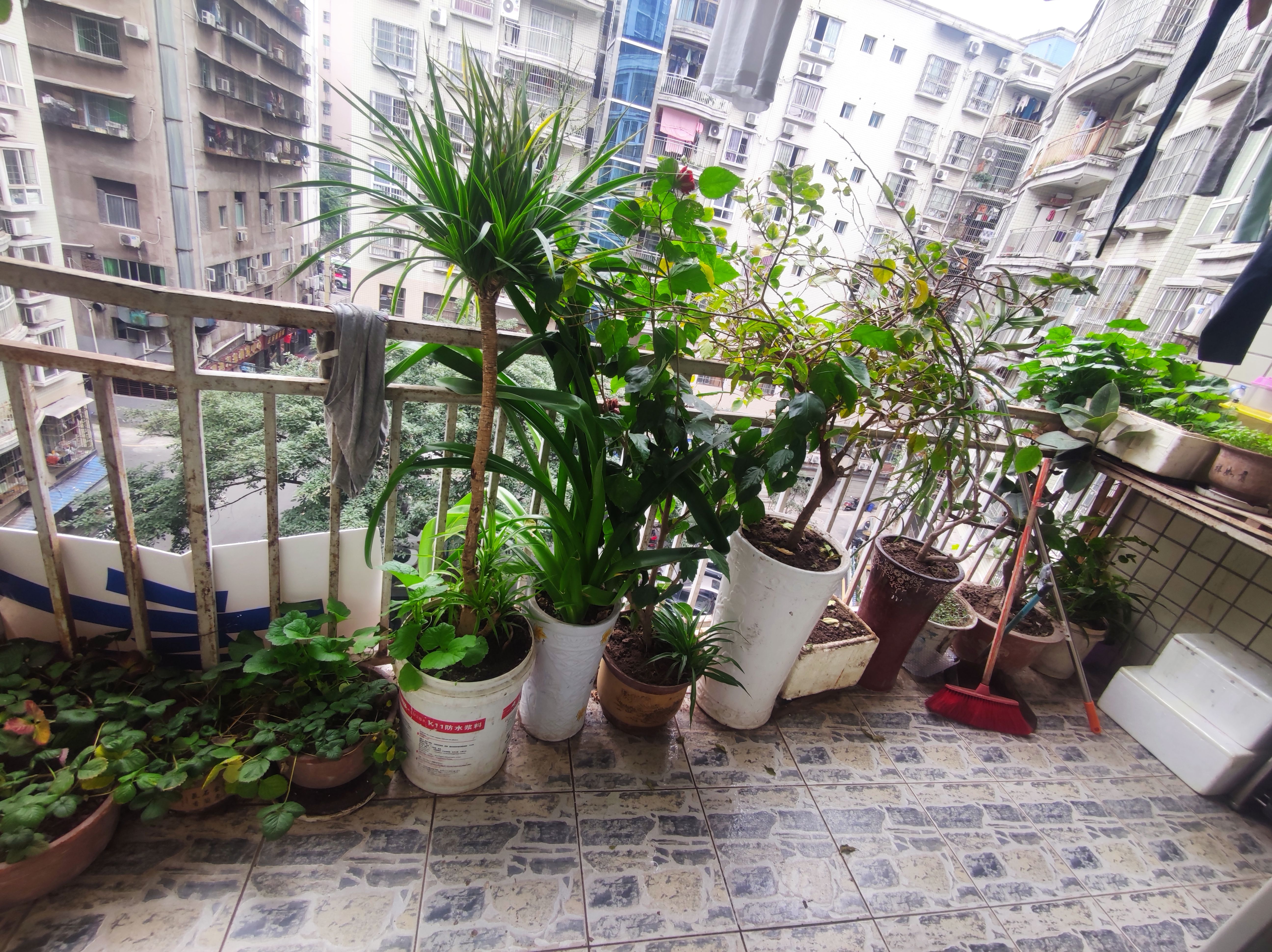 天府明珠