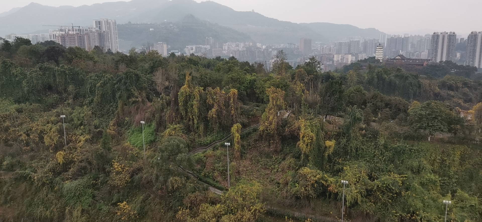 蓝润十年城