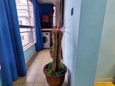 御景上城