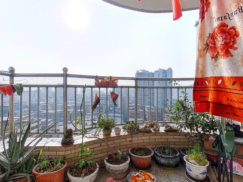 都市花园