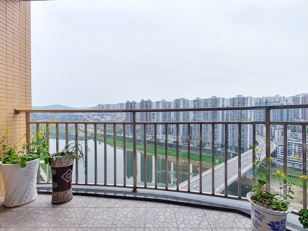 滨江风景