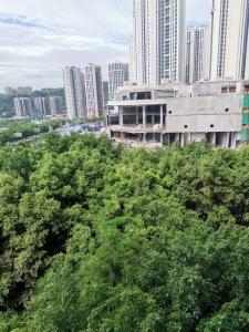 鑫民苑