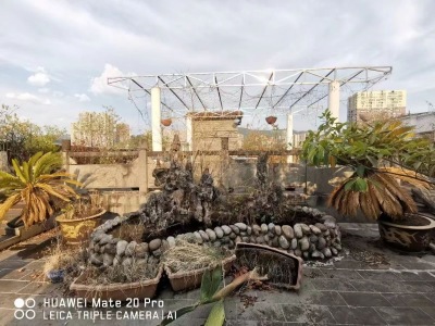 新桥电力公司家属院