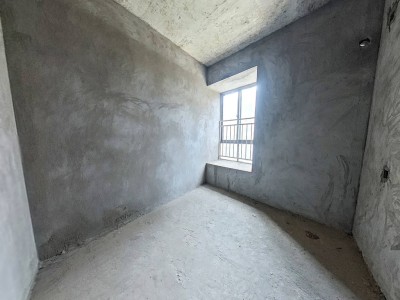 金岸世纪