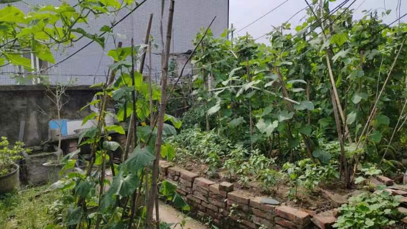 書香雅筑