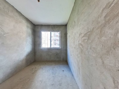 凤翎锦绣