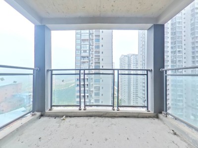 洲河新南岸