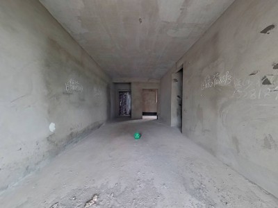 洲河新南岸