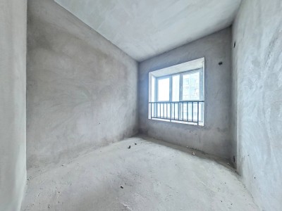 洲河新南岸