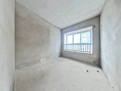 洲河新南岸
