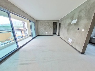（凤凰大道）金科集美天宸 4室2厅2卫 南
