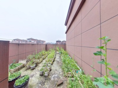 江湾城七期