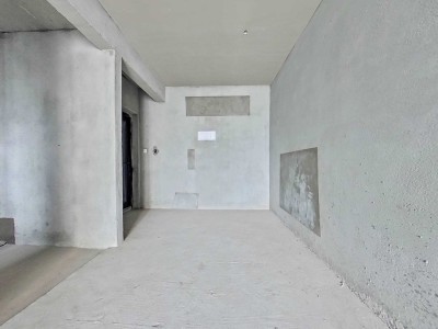 邦泰理想城