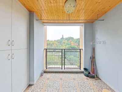 信德观天下