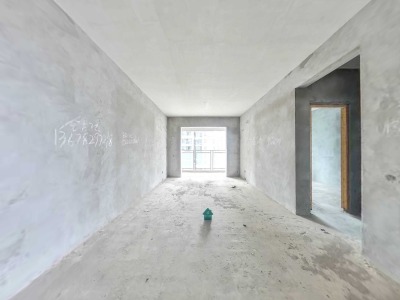 （南坝）洲河新南岸 3室2厅2卫 东南