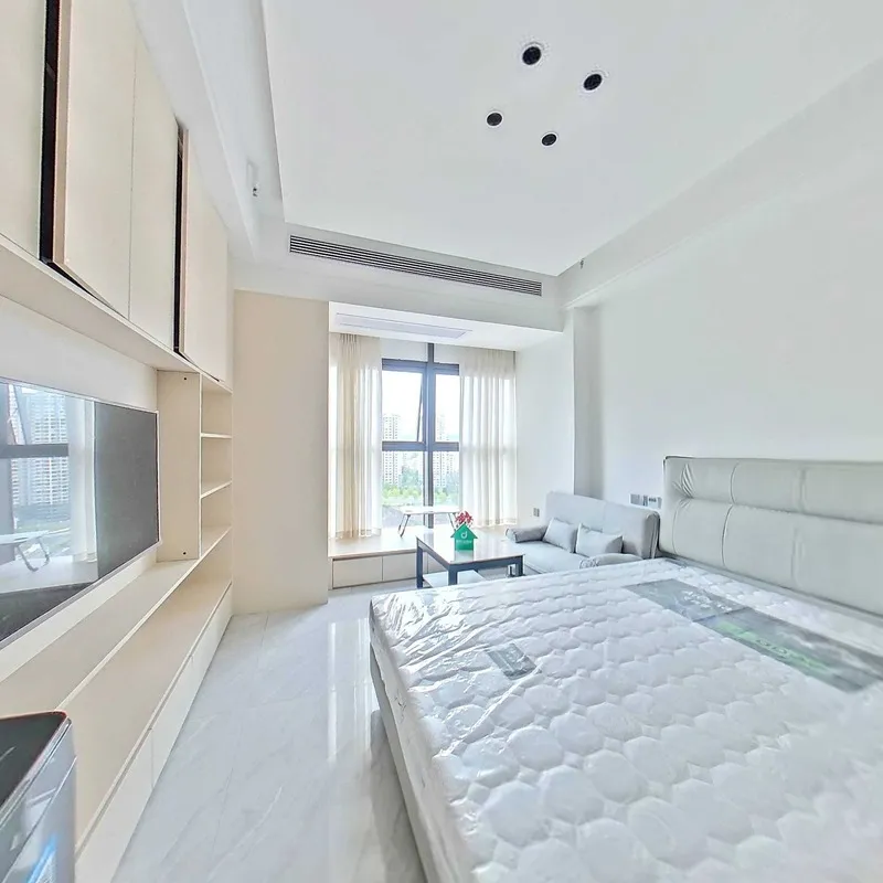 中迪红星商业广场二期