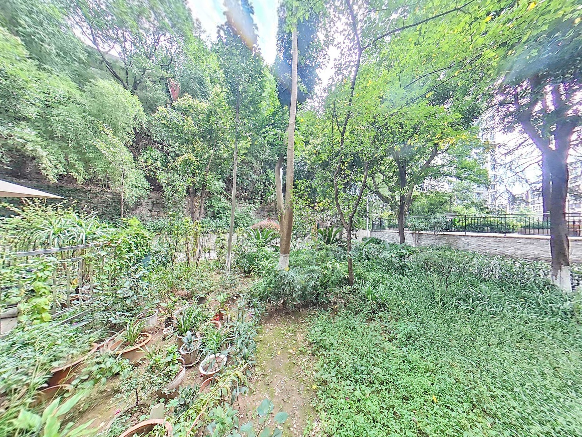 凰城壹号