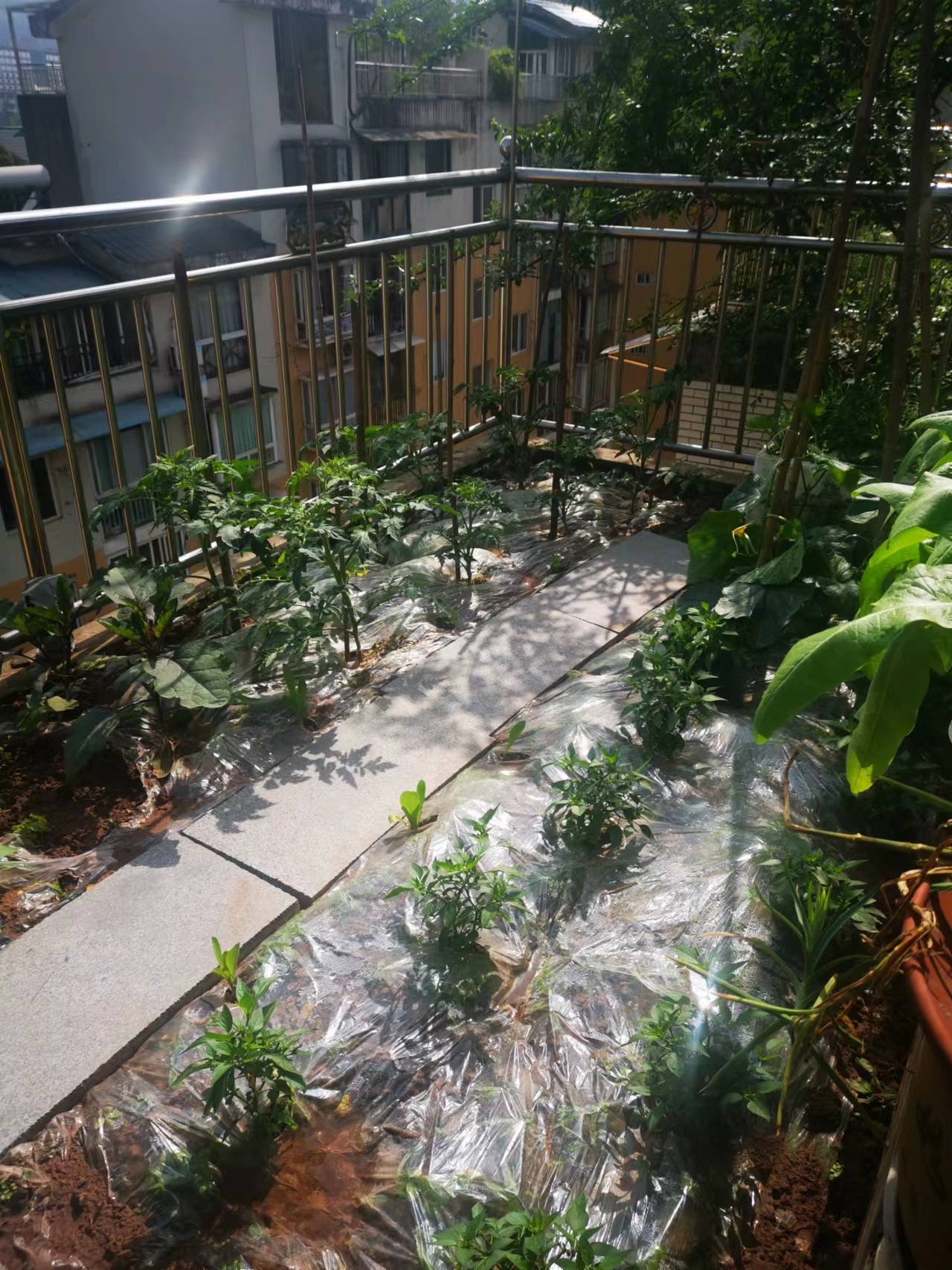通錦國際新城一期