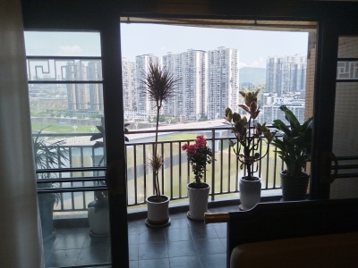 滨江风景