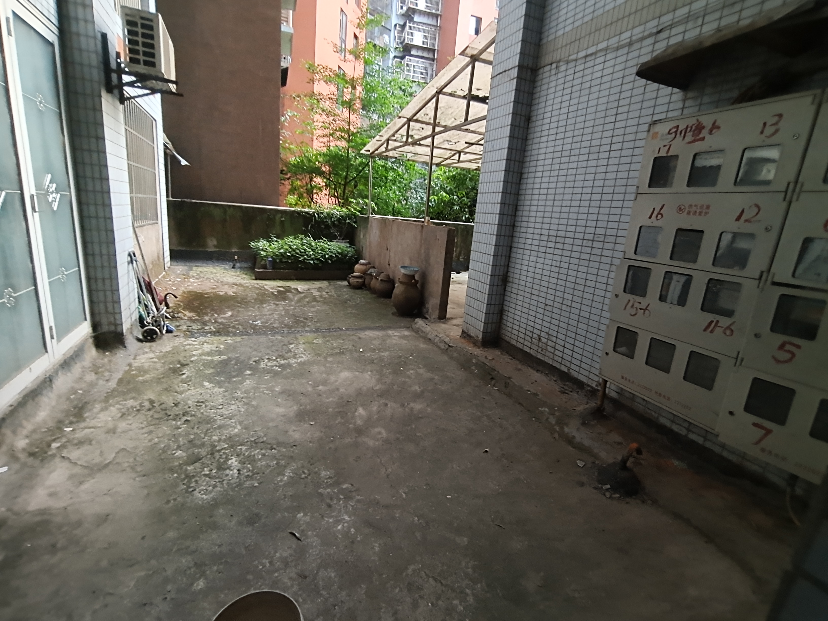 丽江明珠
