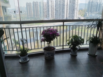 滨江风景