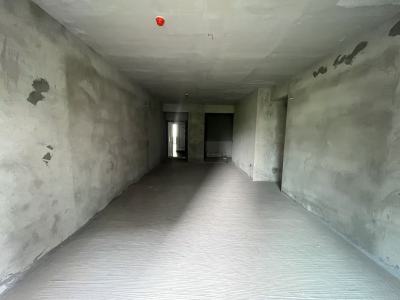 鼎能天玺莲湖