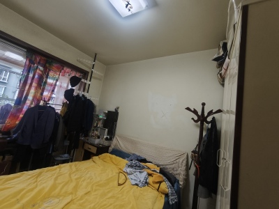罗浮知天下