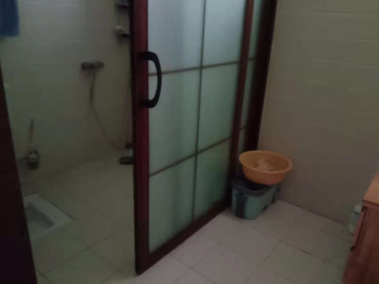 海星園