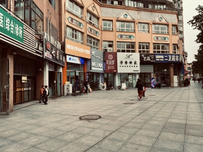 棕榈岛