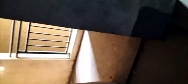 仁和春天国际花园