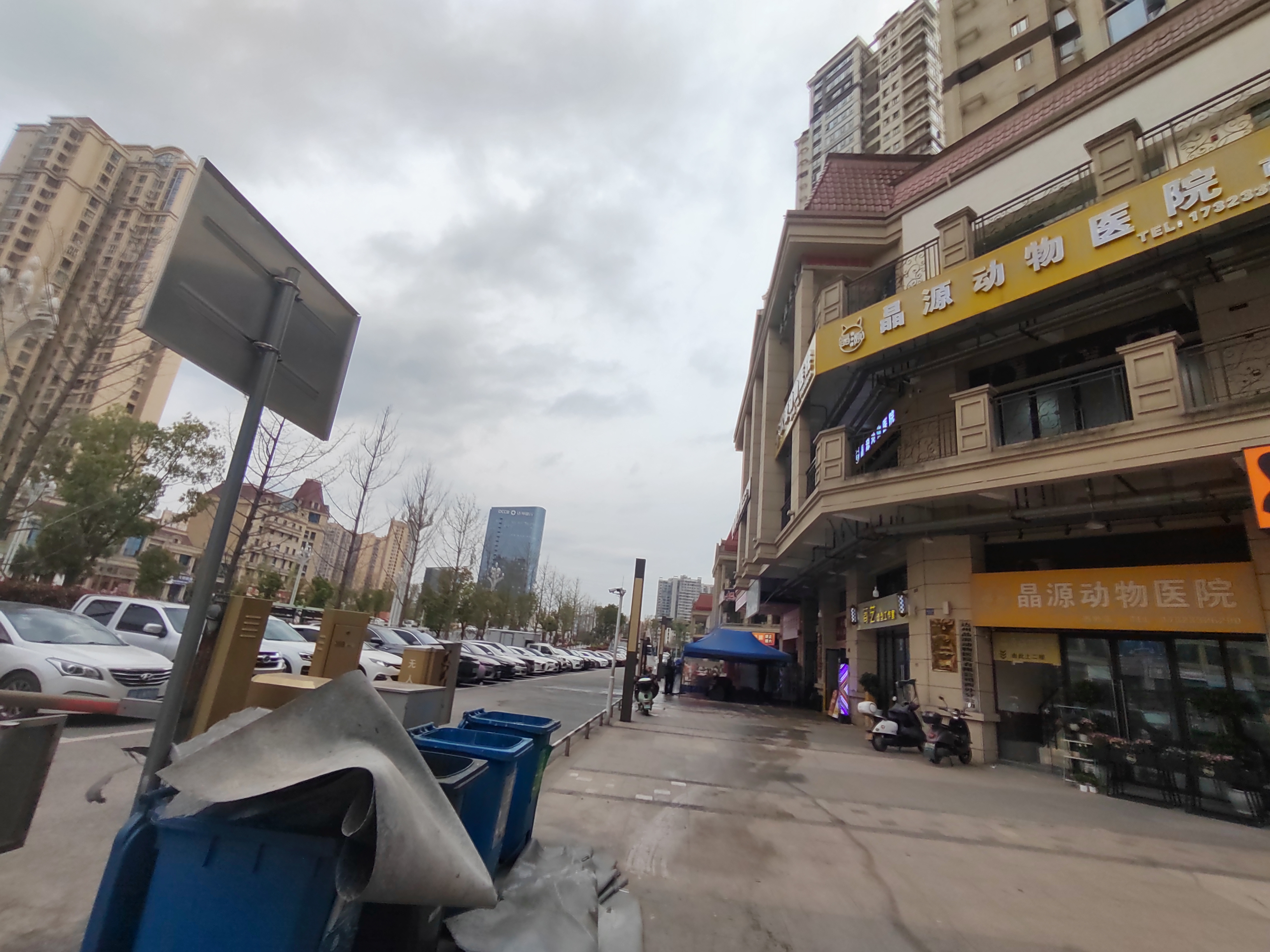 天譽譽府商業