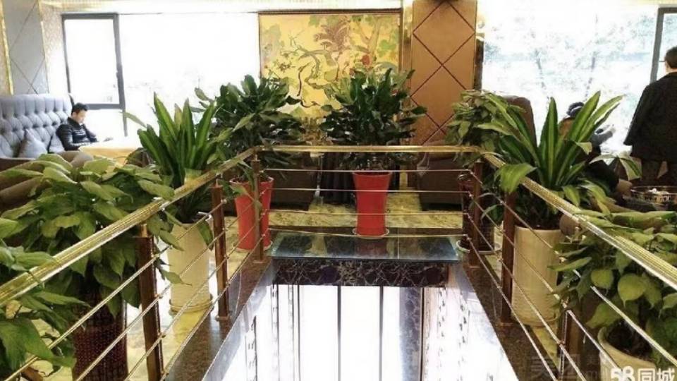 博視影城