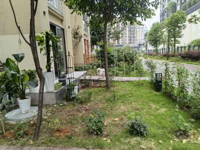 莲湖一美地
