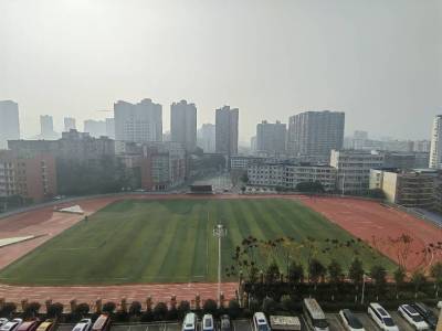 金鼎国际
