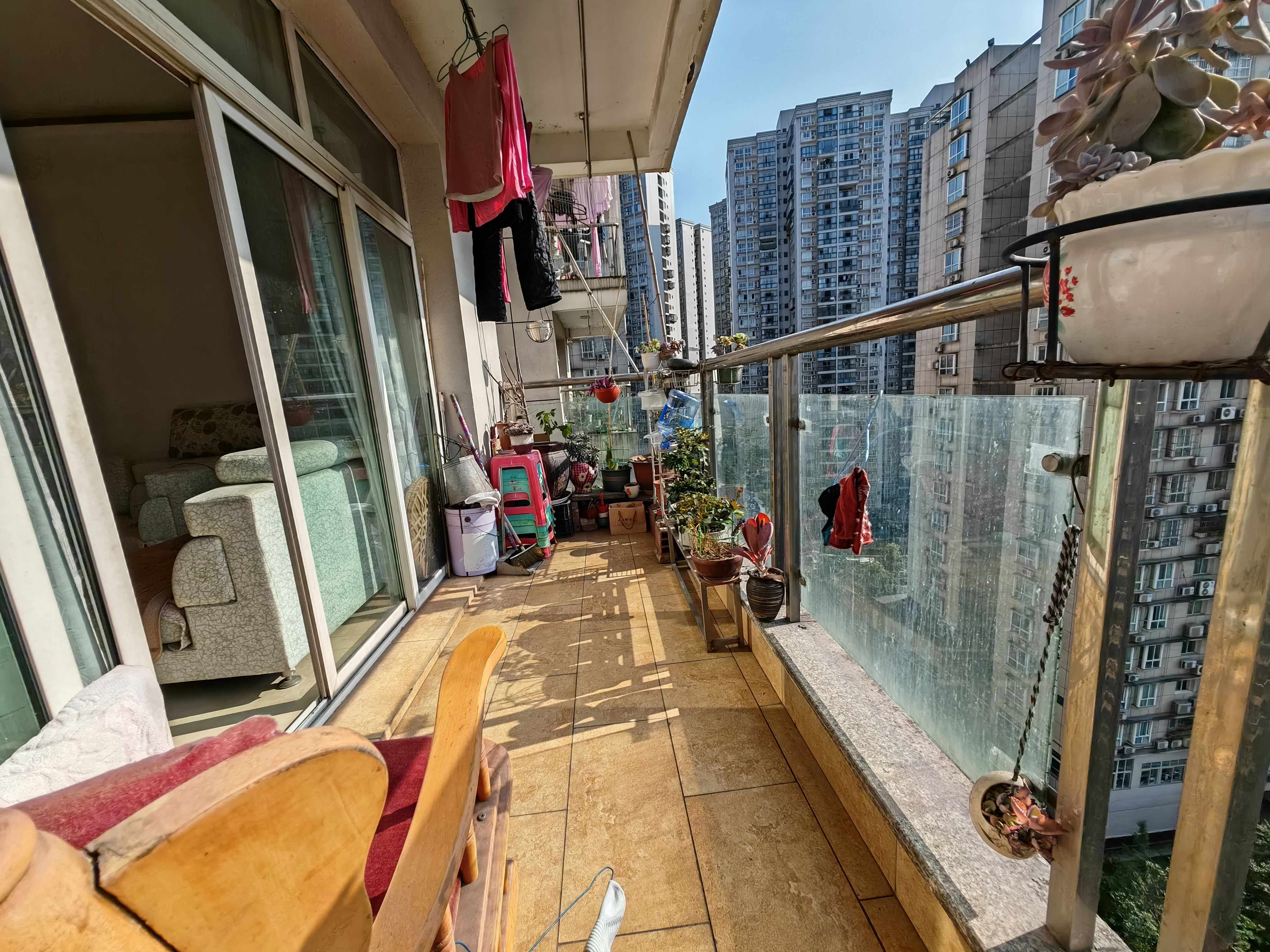 海星園