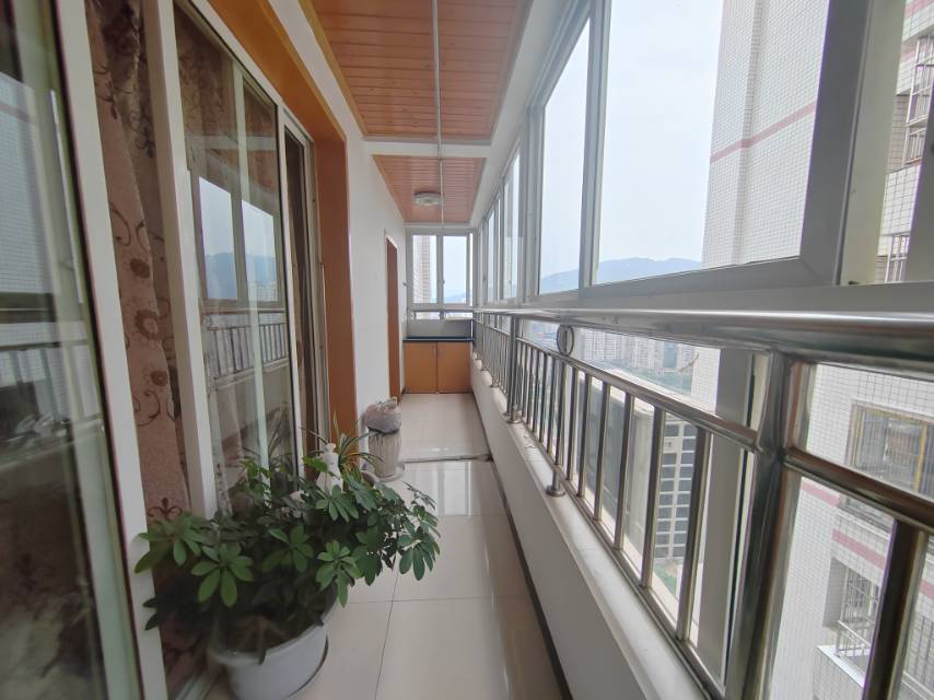 自由心岸