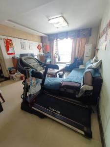 信德城市绿洲