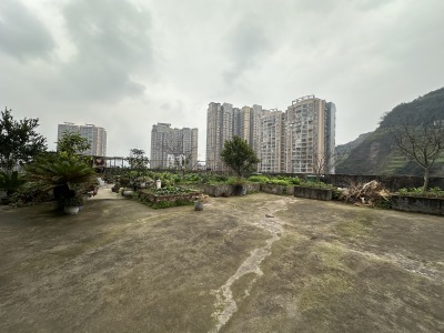 金惠大厦