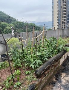 康鑫花苑