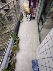 阳光新城