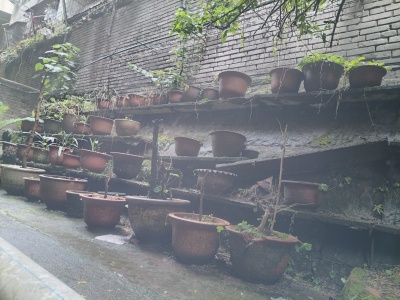 电苑小区