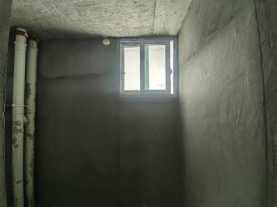 金鼎国际